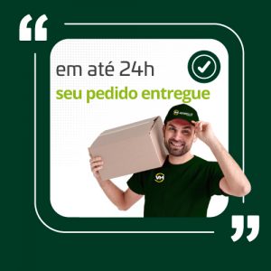 Pedido Entregue em 24 horas